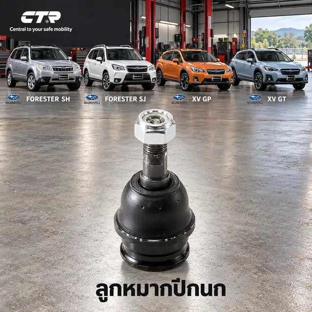 ปีกนก CTR รหัส CB0355 — ลูก หมากปีกนก ล่าง หน้า L/R