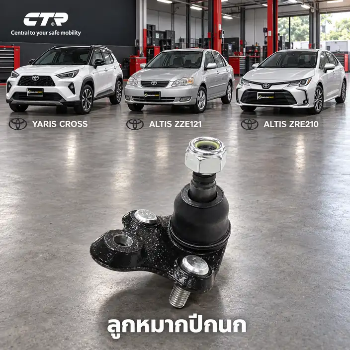 ปีกนก CTR รหัส CB0393 — ลูก หมากปีกนก ล่าง หน้า L/R